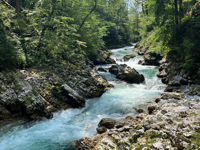 Picture of Alpine Adventures in Slovenia Picture of Alpine Adventures in Slovenia