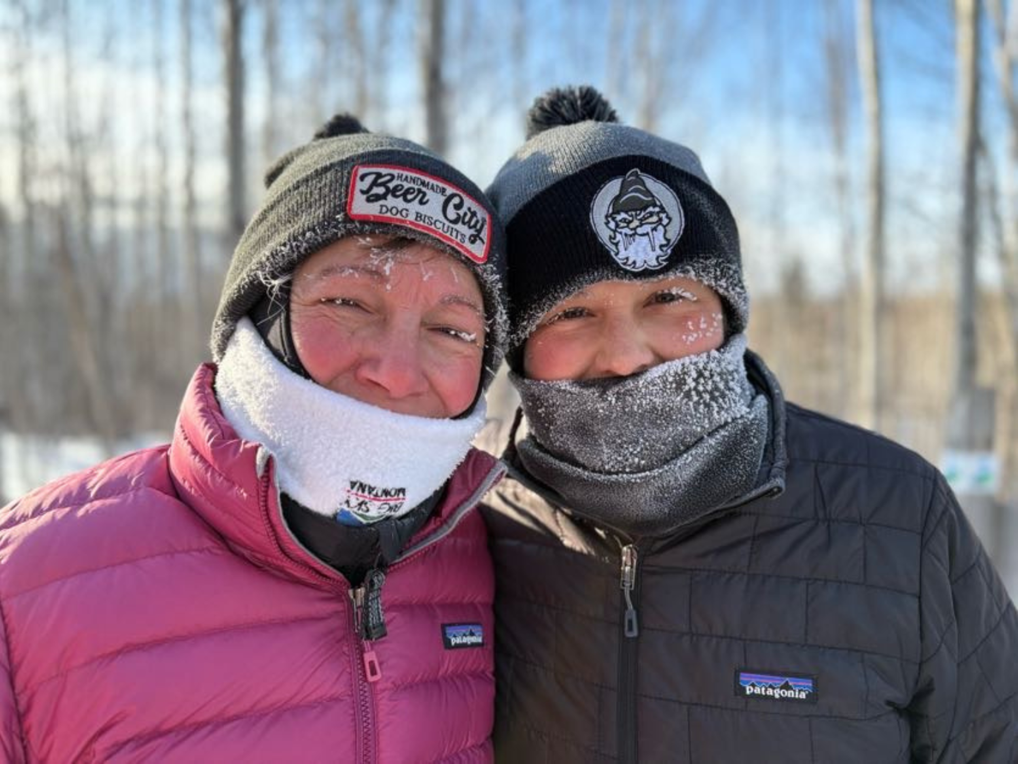 Picture of Dog Sledding and Winter Fun Picture of Dog Sledding and Winter Fun