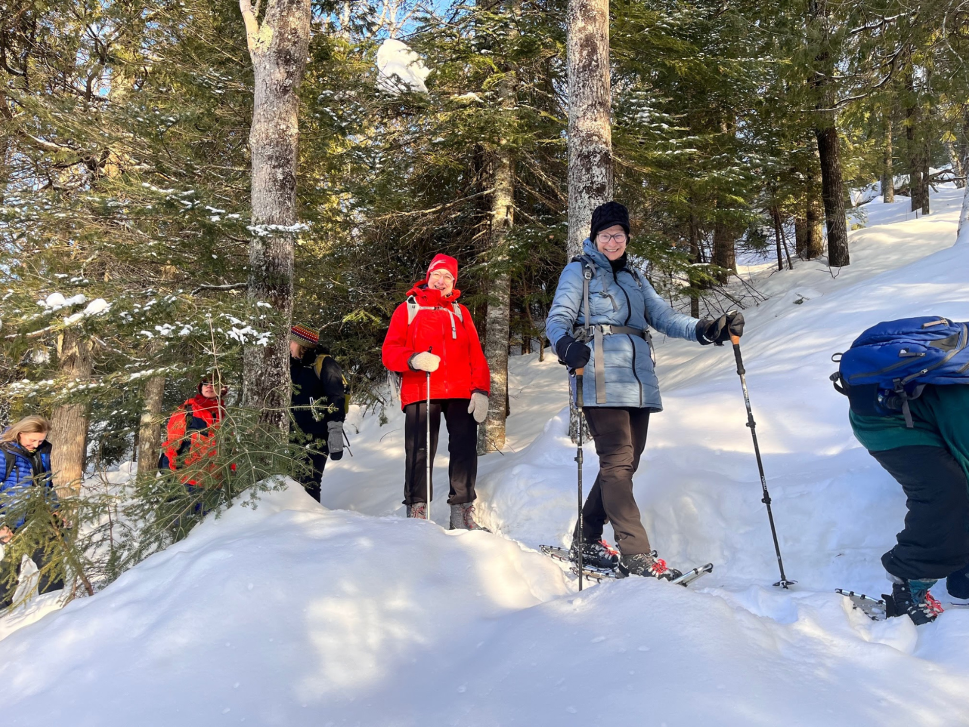 Picture of Dog Sledding and Winter Fun Picture of Dog Sledding and Winter Fun