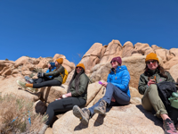 Picture of Desert Oasis Adventure: From Death Valley to Joshua Tree Picture of Desert Oasis Adventure: From Death Valley to Joshua Tree