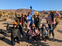 Picture of Desert Oasis Adventure: From Death Valley to Joshua Tree Picture of Desert Oasis Adventure: From Death Valley to Joshua Tree