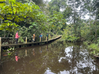 Picture of Ecuador's Amazon Jungle Adventure Picture of Ecuador's Amazon Jungle Adventure