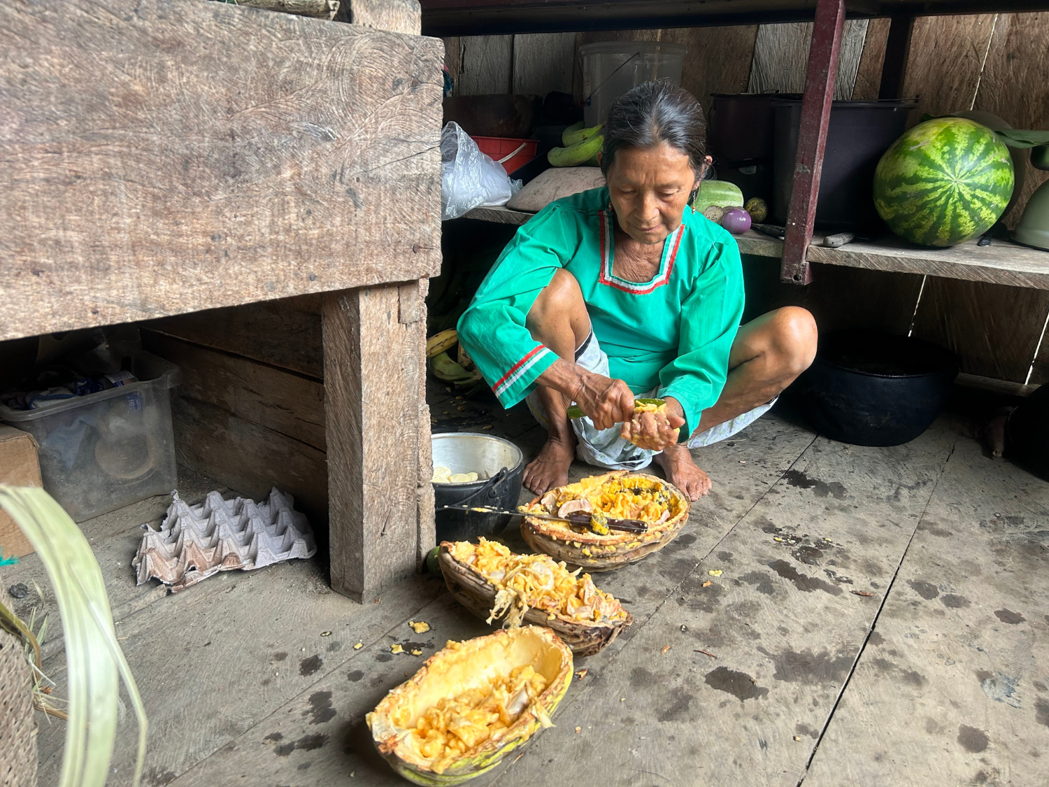 Picture of Ecuador's Amazon Jungle Adventure