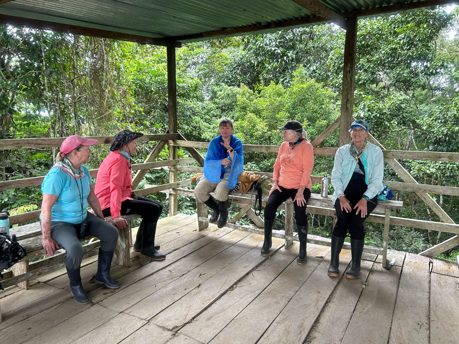 Picture of Ecuador's Amazon Jungle Adventure