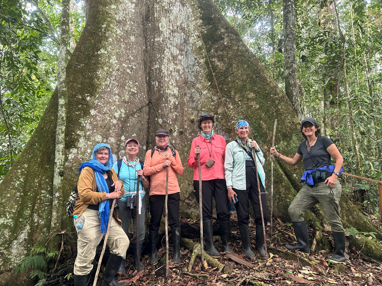 Picture of Ecuador's Amazon Jungle Adventure