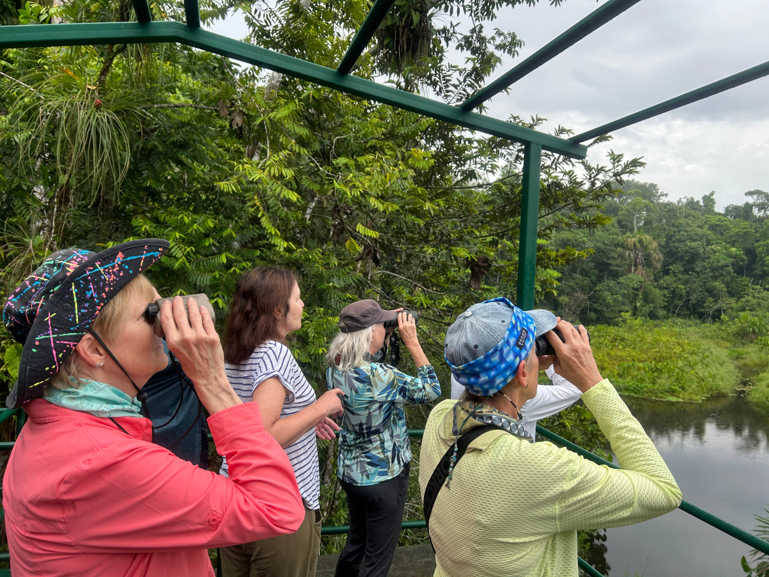 Picture of Ecuador's Amazon Jungle Adventure