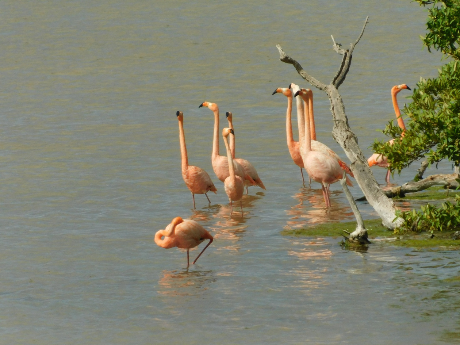 Picture of Ecuador's Amazon Jungle Adventure