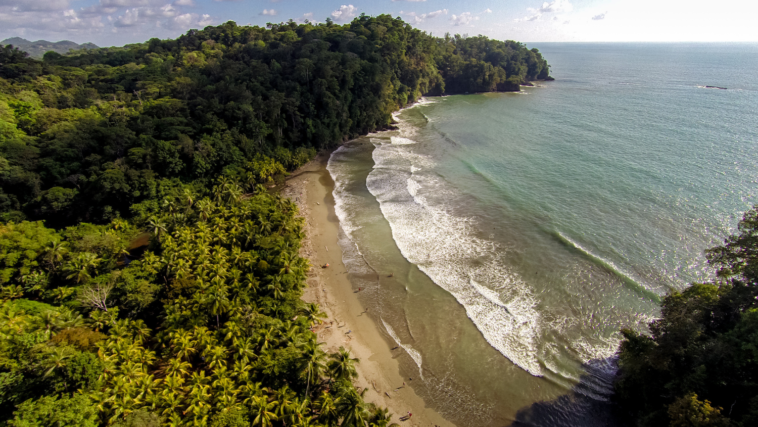 Picture of Costa Rica: Exploring the Wild Pacific Coast