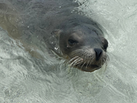 Picture of Explore the Galapagos Islands by Land Picture of Explore the Galapagos Islands by Land