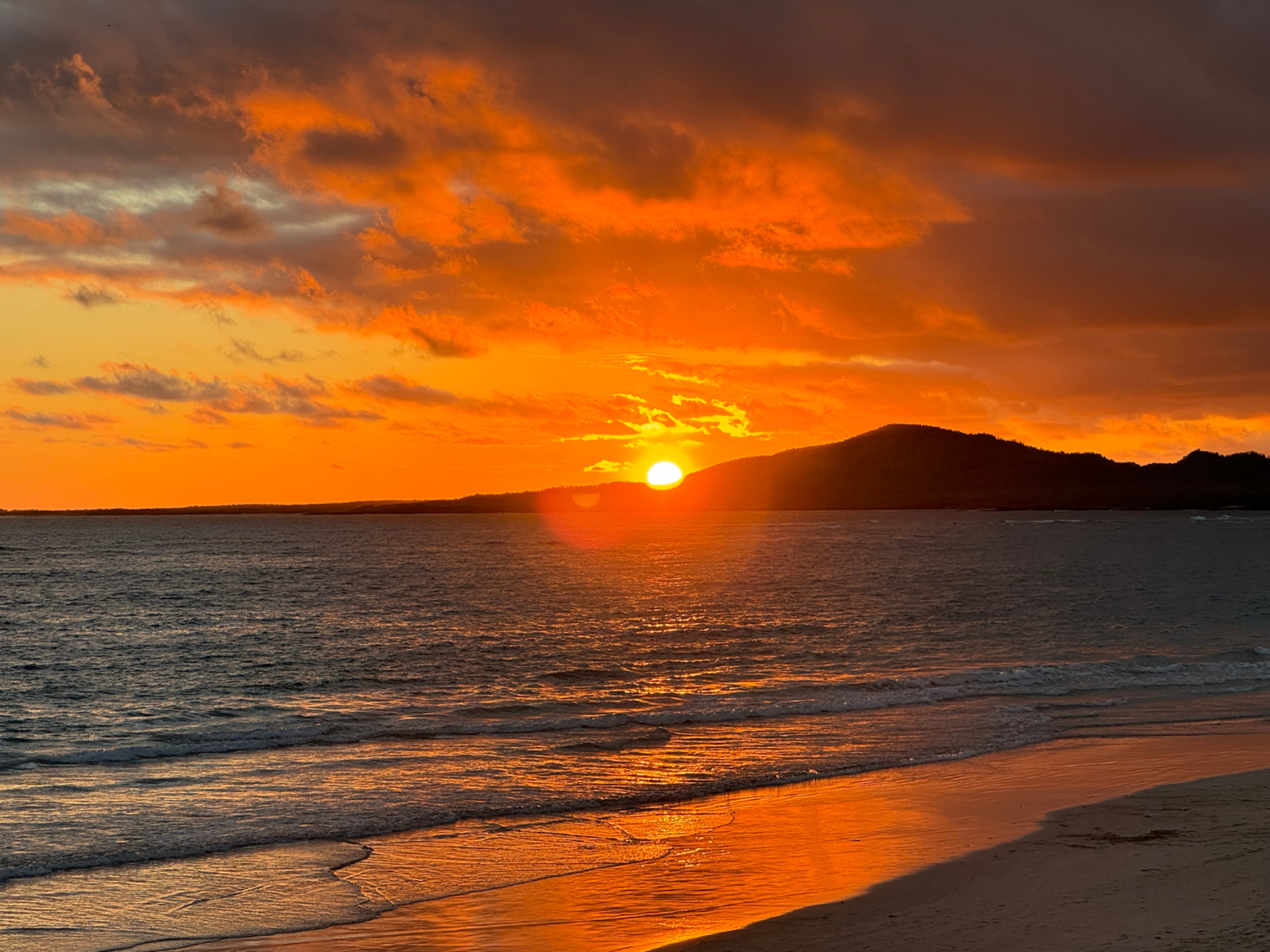 Picture of Explore the Galapagos Islands by Land Picture of Explore the Galapagos Islands by Land