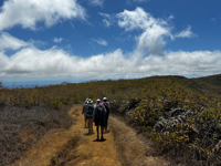 Picture of Explore the Galapagos Islands by Land Picture of Explore the Galapagos Islands by Land