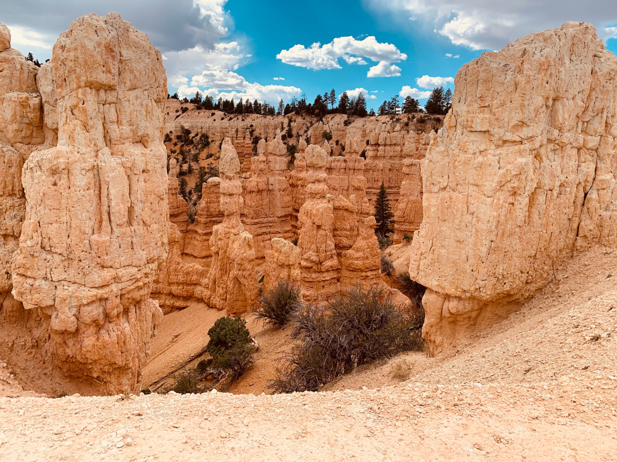 Picture of Hiking the Grand Staircase Picture of Hiking the Grand Staircase