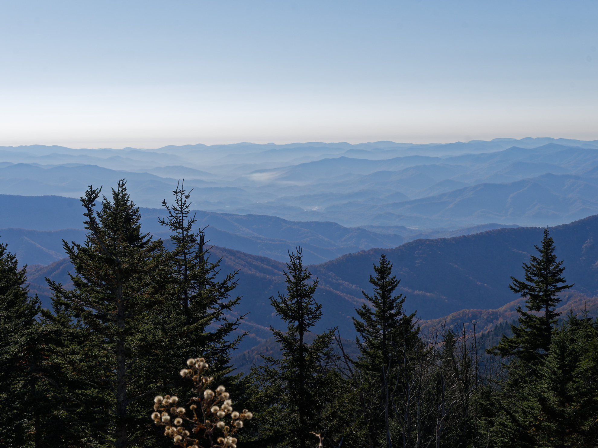Picture of Fall in the Great Smokies Picture of Fall in the Great Smokies