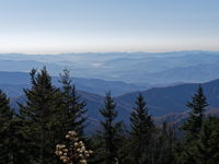 Picture of Fall in the Great Smokies Picture of Fall in the Great Smokies
