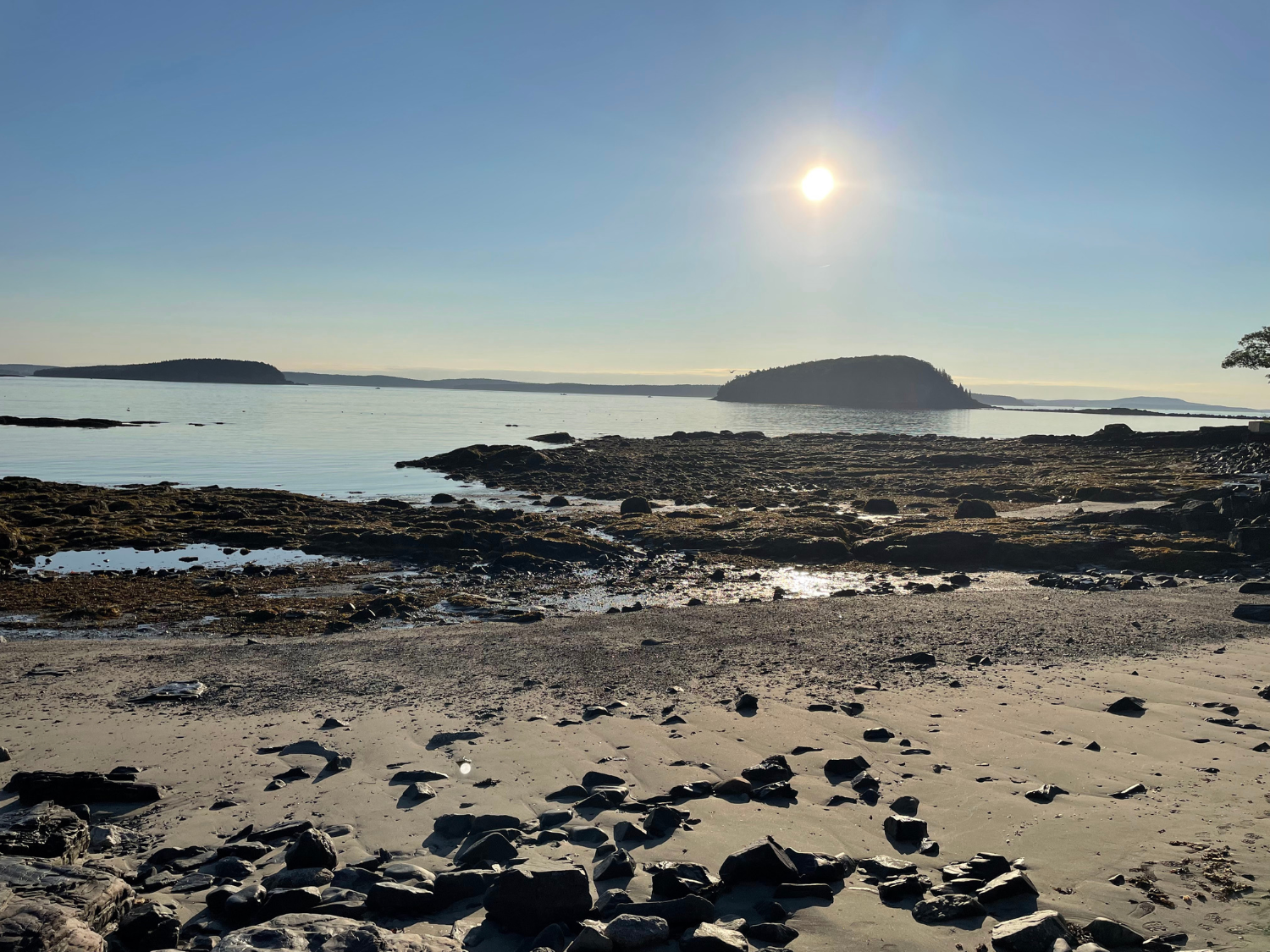 Picture of Magical Maine