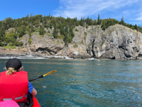 Picture of Magical Maine: Acadia National Park