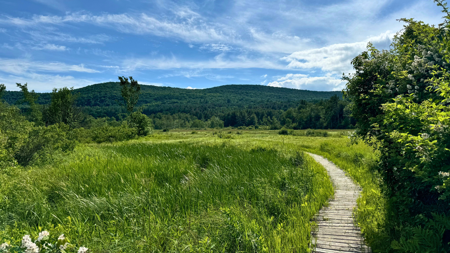 Slackpacking® the Appalachian Trail: Massachusetts