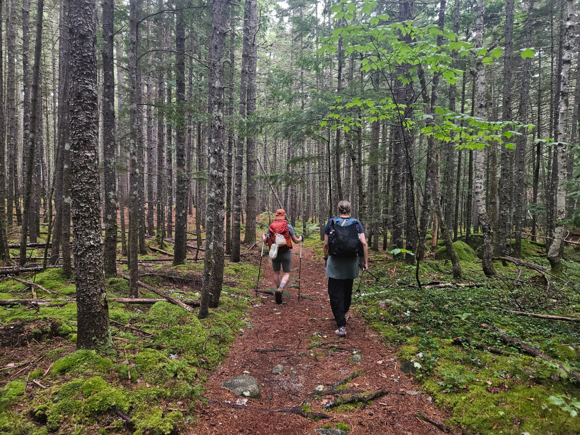 Picture of Slackpacking Maine Picture of Slackpacking Maine