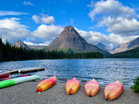 Picture of Hiking and Rafting Glacier National Park Picture of Hiking and Rafting Glacier National Park