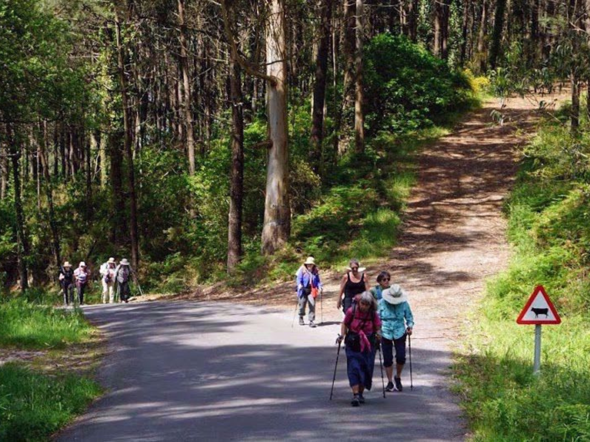 Picture of Santiago to the Sea: Camino Finisterre Picture of Santiago to the Sea: Camino Finisterre
