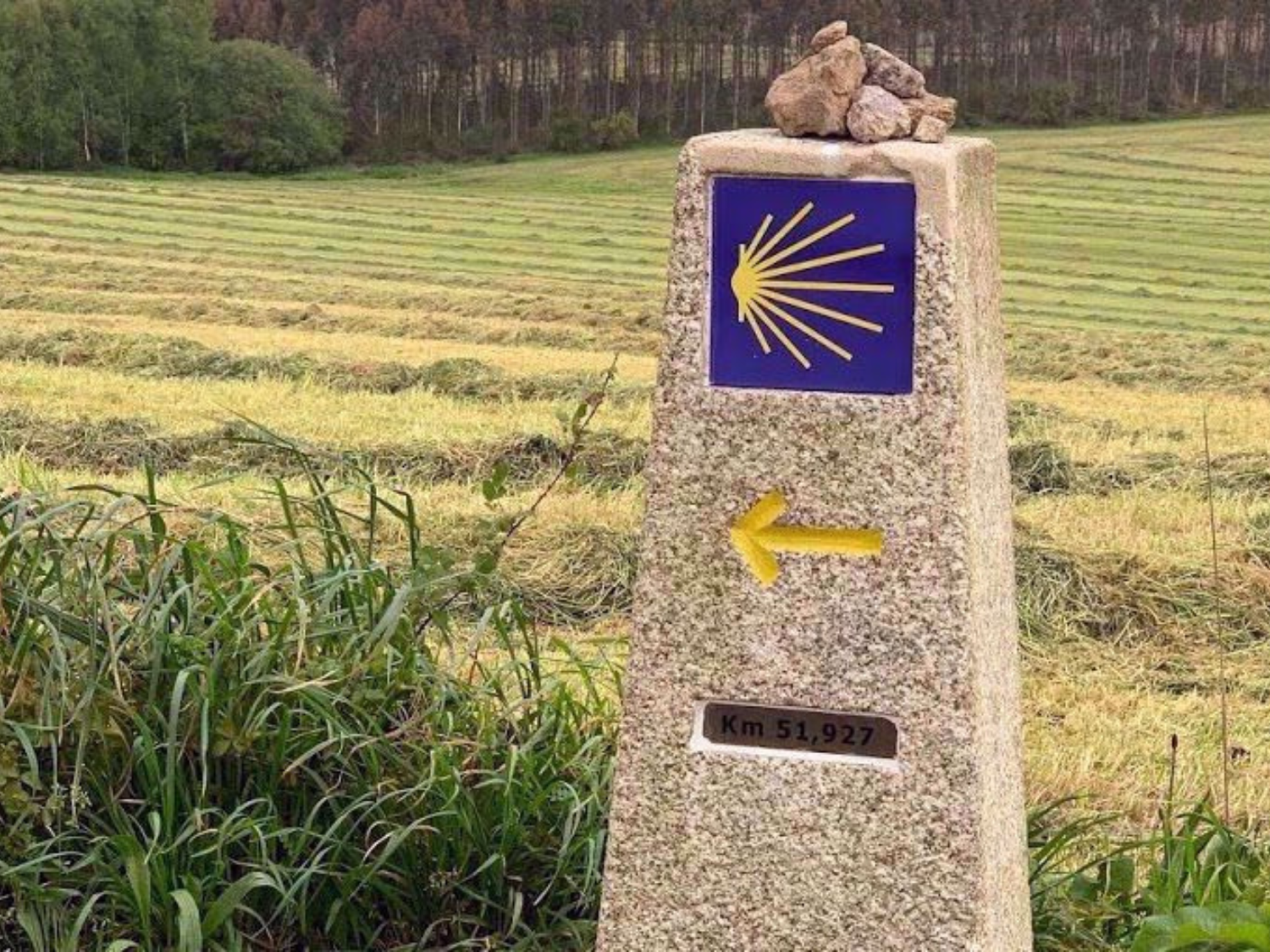 Picture of Santiago to the Sea: Camino Finisterre Picture of Santiago to the Sea: Camino Finisterre