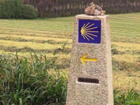 Picture of Santiago to the Sea: Camino Finisterre Picture of Santiago to the Sea: Camino Finisterre