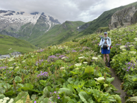 Picture of Tour du Mont Blanc Highlights Picture of Tour du Mont Blanc Highlights