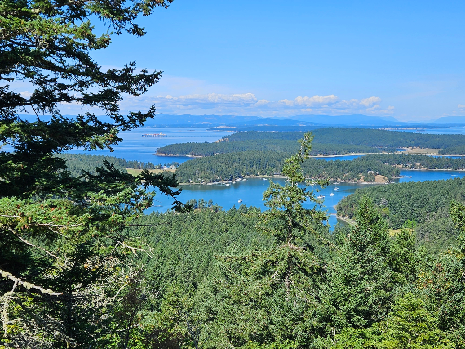 Picture of Pacific Northwest Escape: The San Juan Islands & Olympic National Park