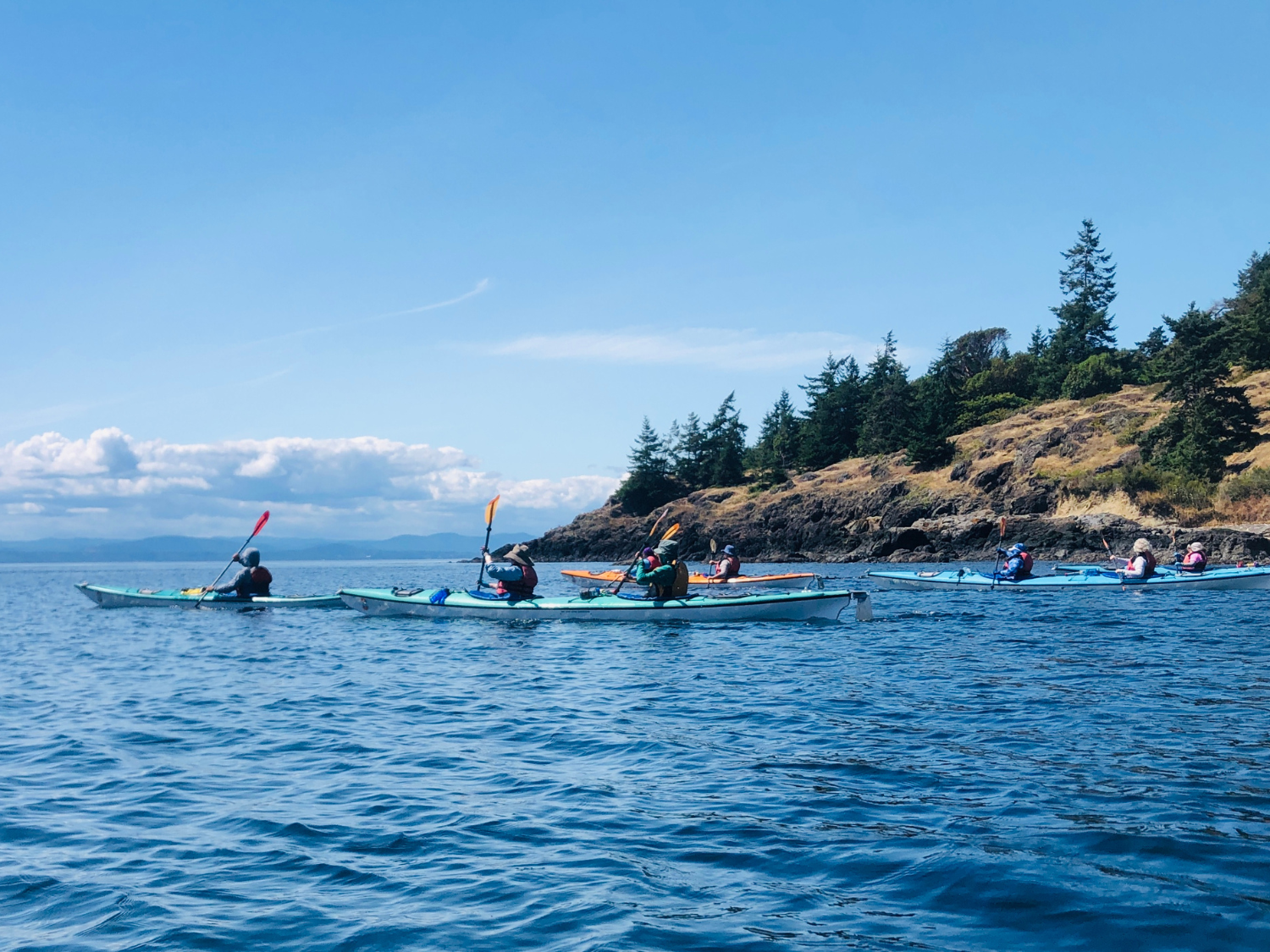 Picture of Pacific Northwest Escape: The San Juan Islands & Olympic National Park