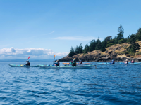 Picture of Pacific Northwest Escape: The San Juan Islands & Olympic National Park Picture of Pacific Northwest Escape: The San Juan Islands & Olympic National Park