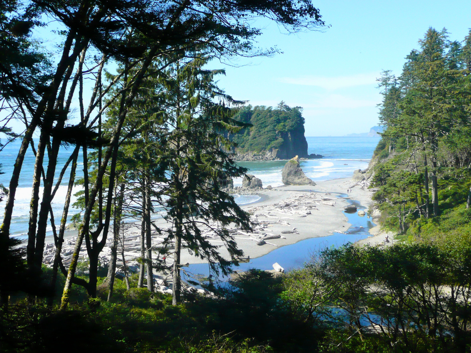 Picture of Pacific Northwest Escape: The San Juan Islands & Olympic National Park