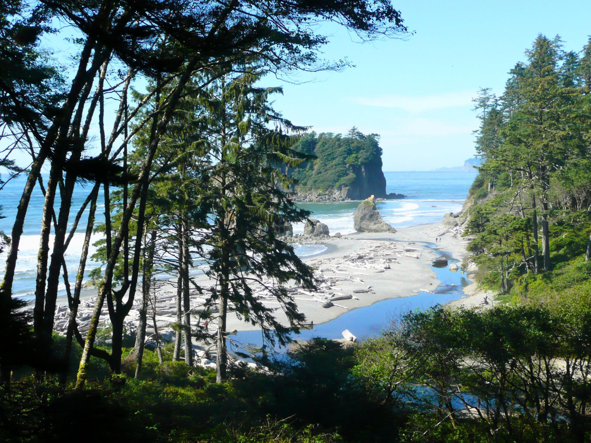 Picture of Pacific Northwest Escape: The San Juan Islands & Olympic National Park Picture of Pacific Northwest Escape: The San Juan Islands & Olympic National Park