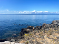 Picture of Pacific Northwest Escape: The San Juan Islands & Olympic National Park Picture of Pacific Northwest Escape: The San Juan Islands & Olympic National Park