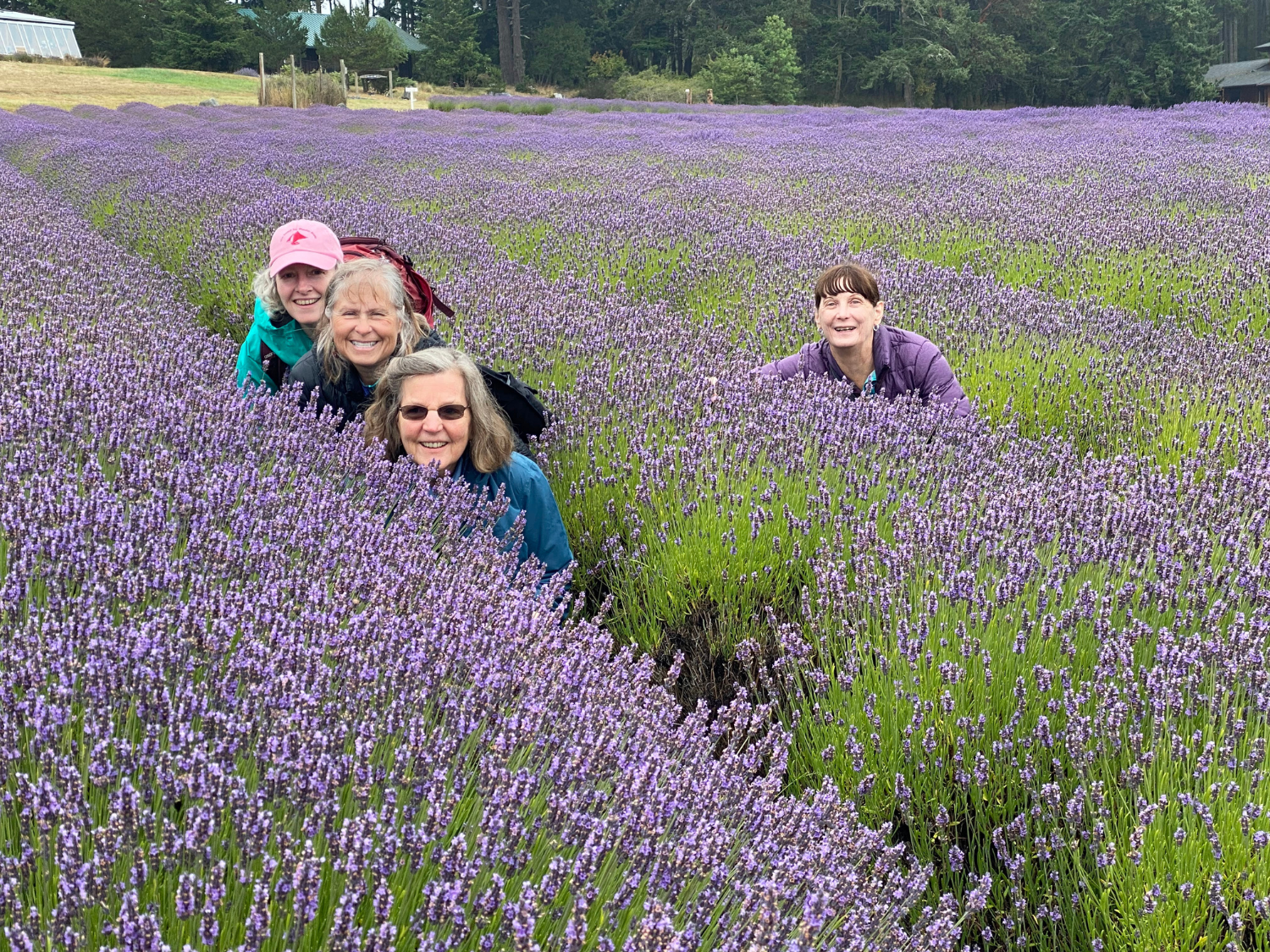 Picture of Pacific Northwest Escape: The San Juan Islands & Olympic National Park