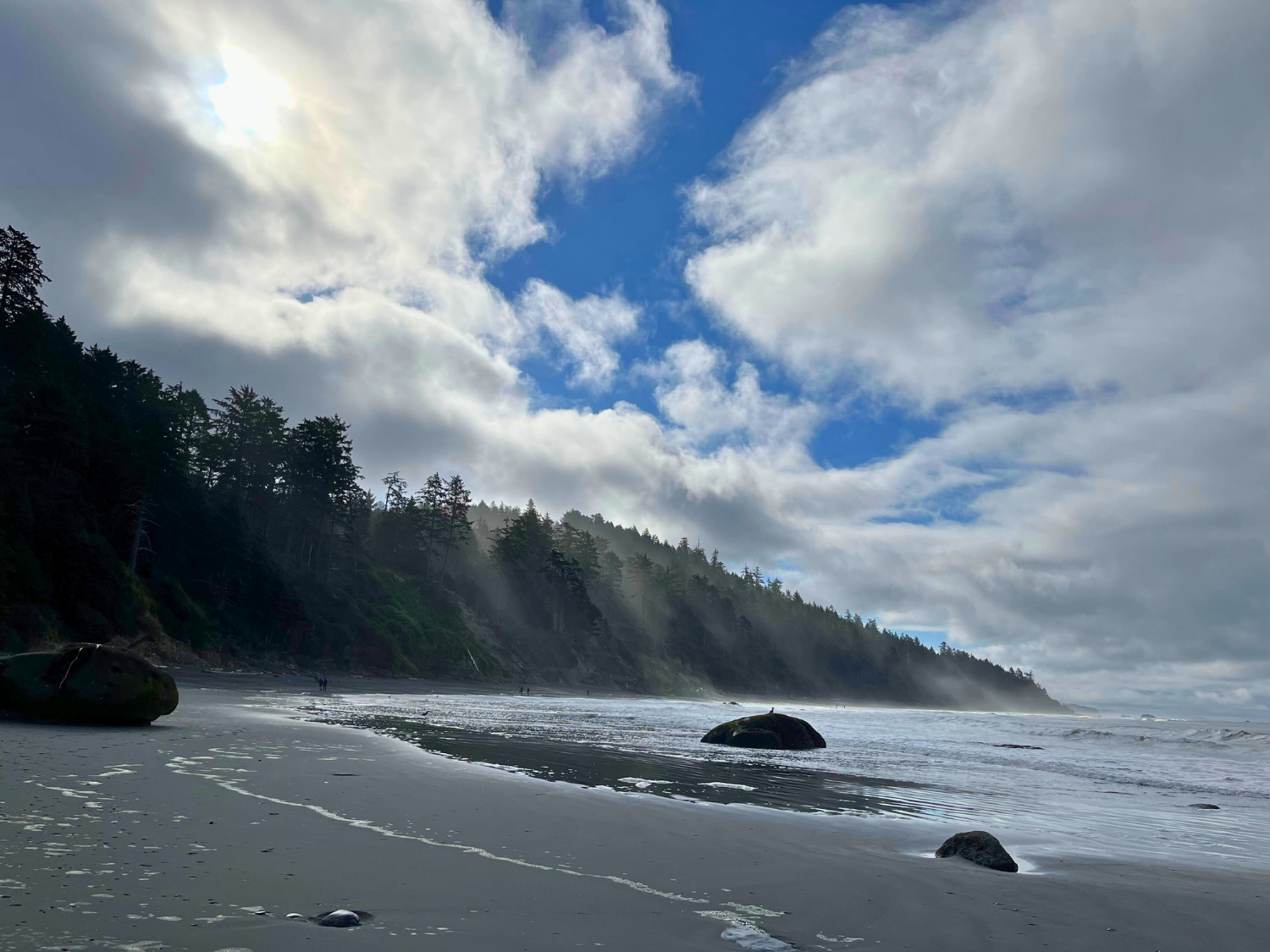 Picture of Pacific Northwest Escape: The San Juan Islands & Olympic National Park
