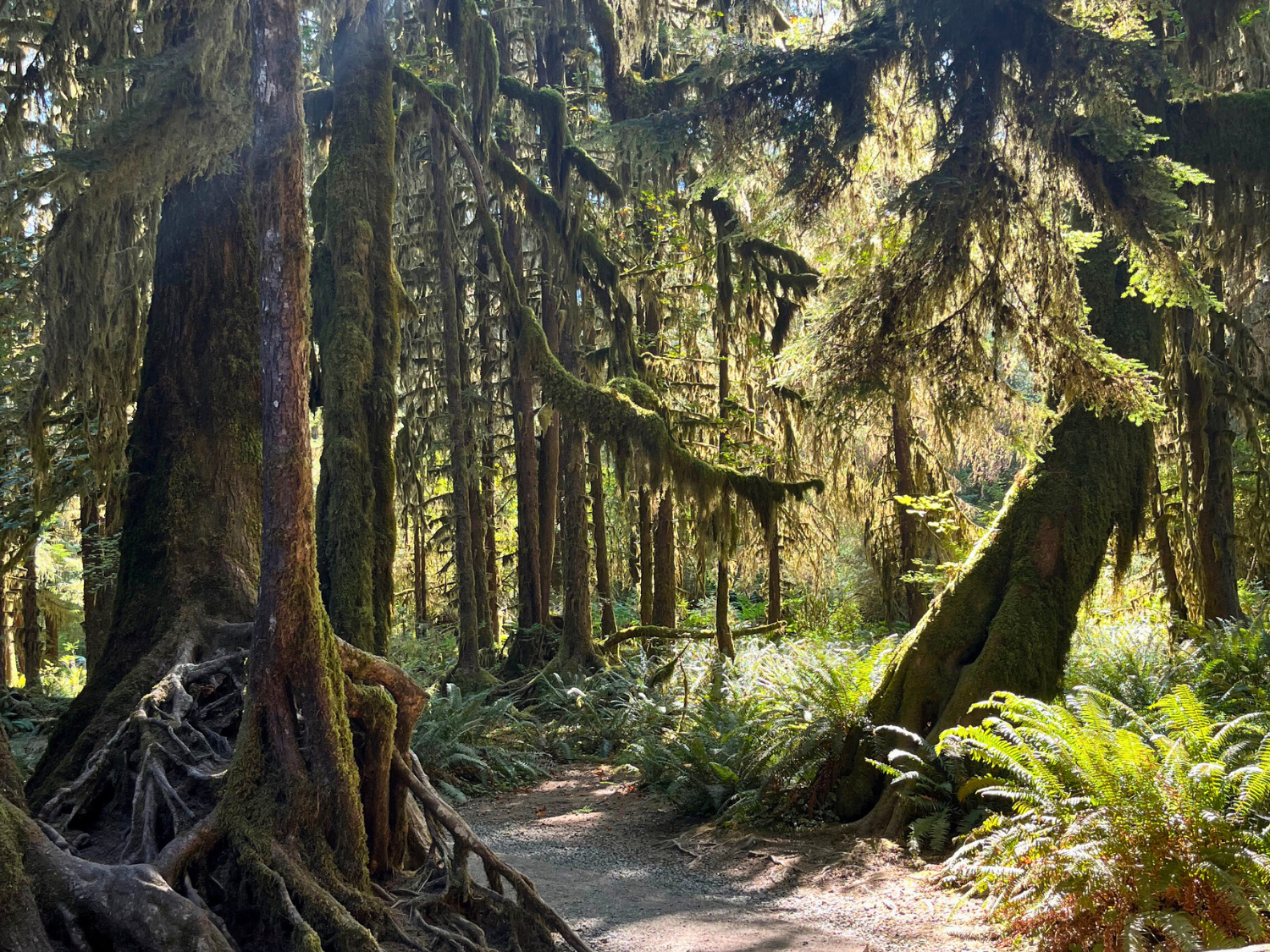 Picture of Pacific Northwest Escape: The San Juan Islands & Olympic National Park