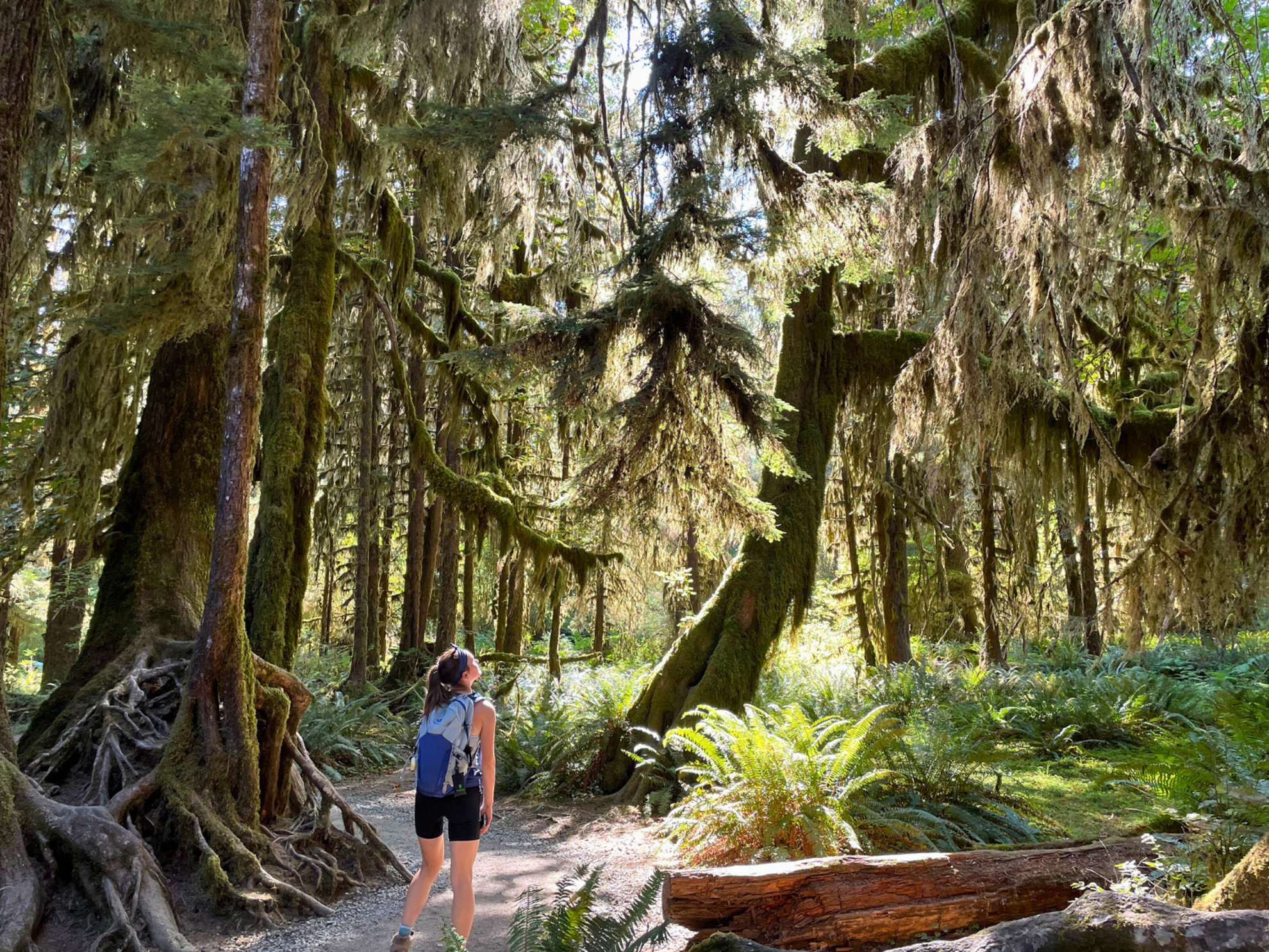 Picture of Pacific Northwest Escape: The San Juan Islands & Olympic National Park Picture of Pacific Northwest Escape: The San Juan Islands & Olympic National Park