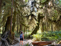 Picture of PNW Escape: The San Juan Islands & Olympic National Park Picture of PNW Escape: The San Juan Islands & Olympic National Park
