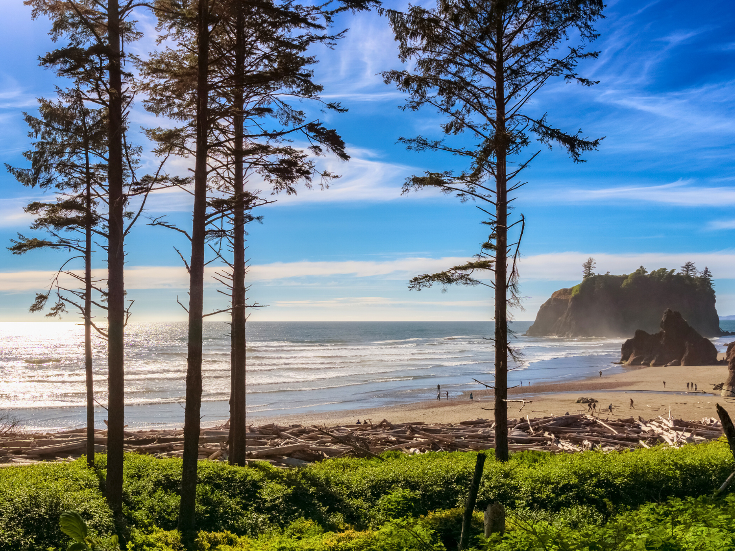Picture of Pacific Northwest Escape: The San Juan Islands & Olympic National Park