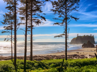 Picture of Pacific Northwest Escape: The San Juan Islands & Olympic National Park Picture of Pacific Northwest Escape: The San Juan Islands & Olympic National Park