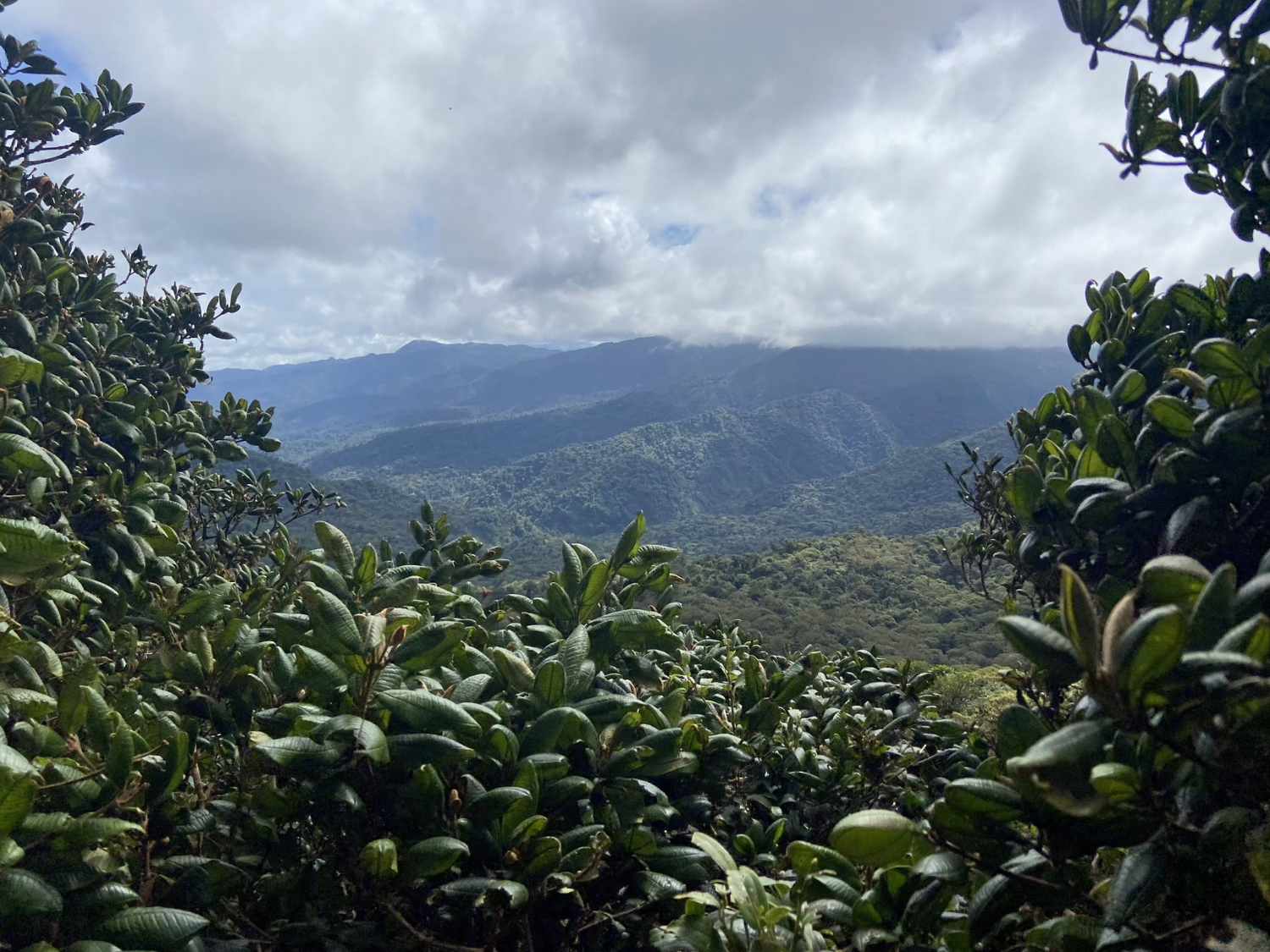 Picture of Costa Rica: From Sea to Mountains