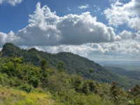 Picture of Discover the Rhythm and Heartbeat of Cuba