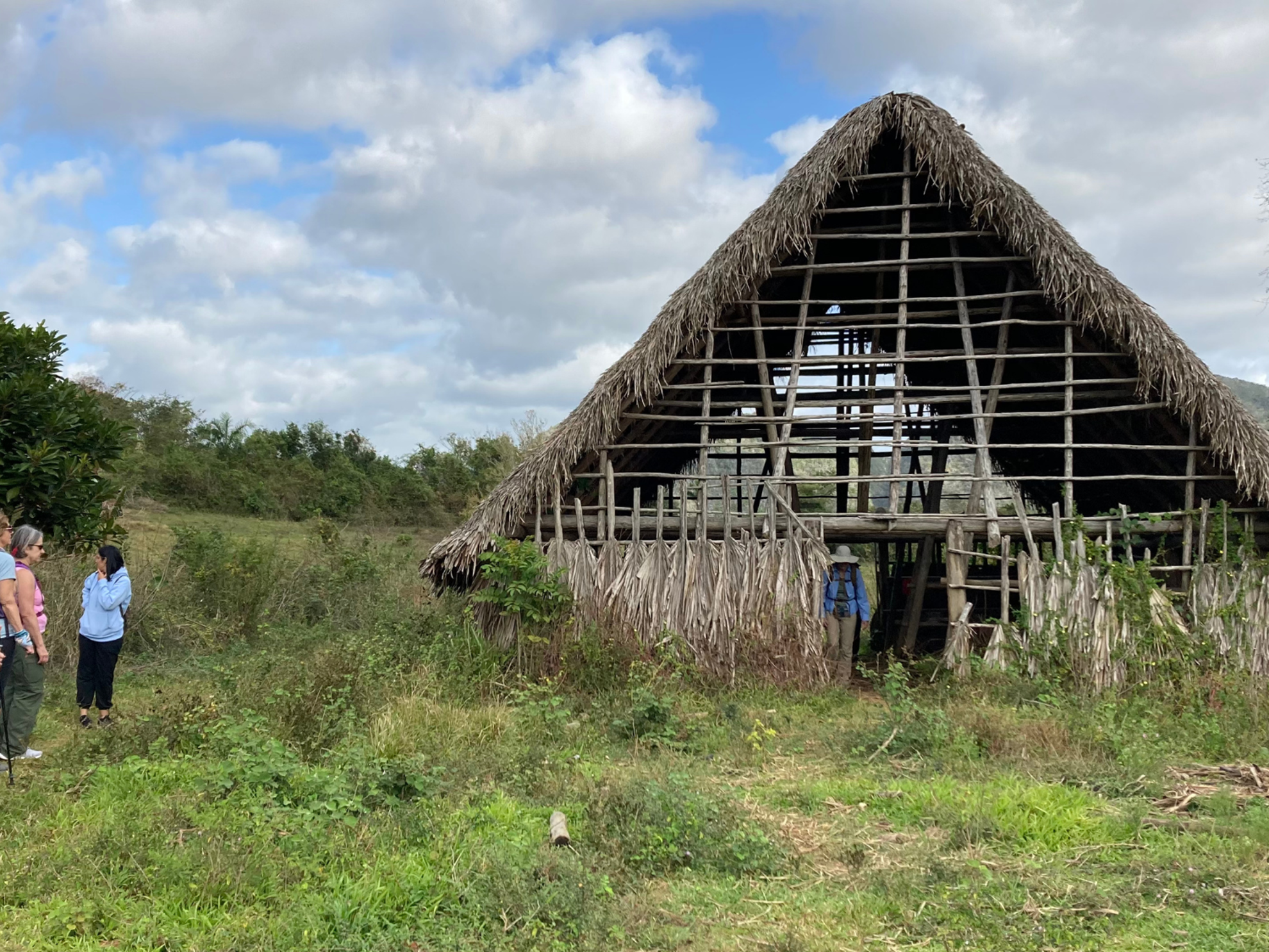 Picture of Discover the Rhythm and Heartbeat of Cuba