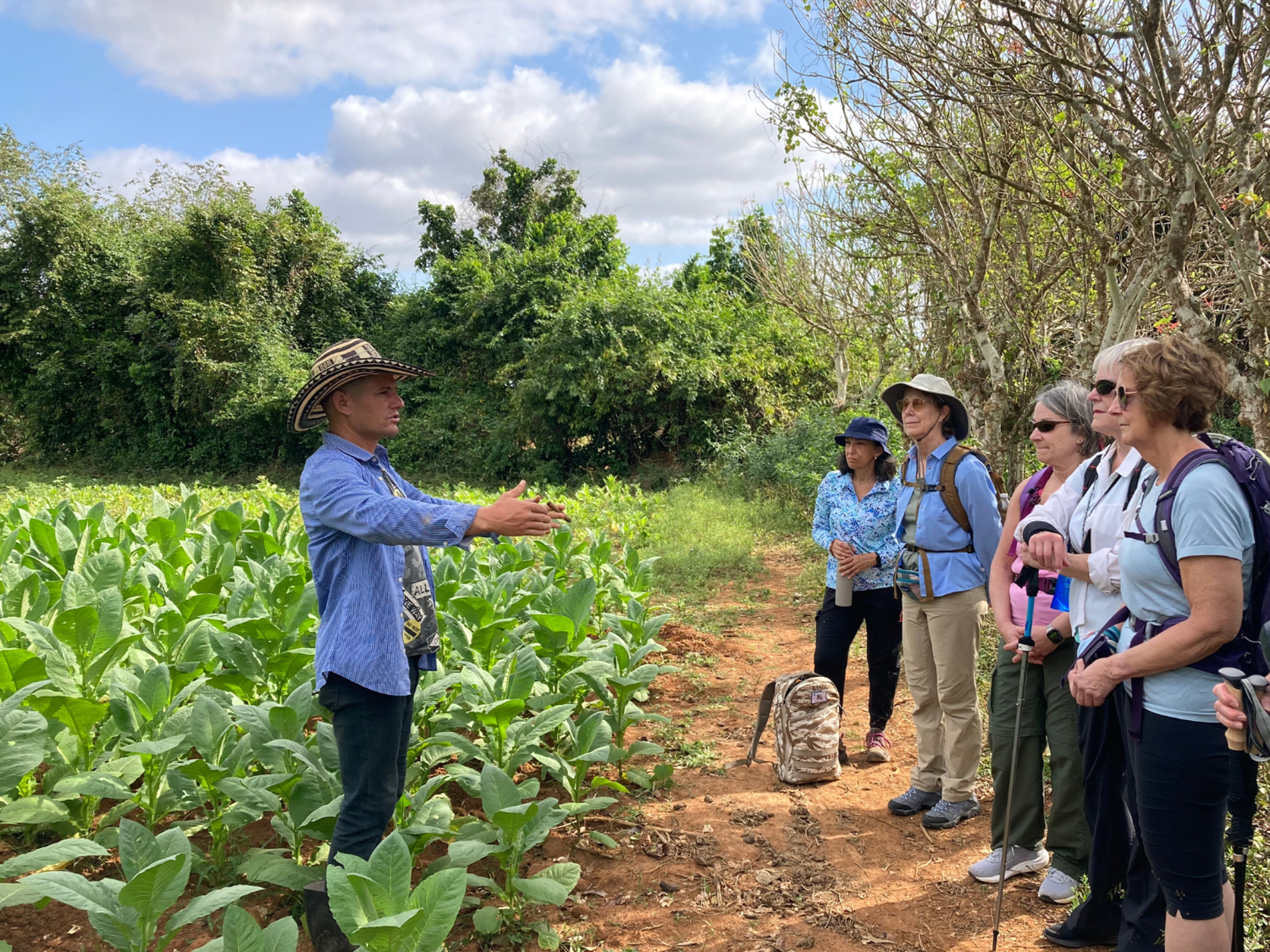 Picture of Discover the Rhythm and Heartbeat of Cuba