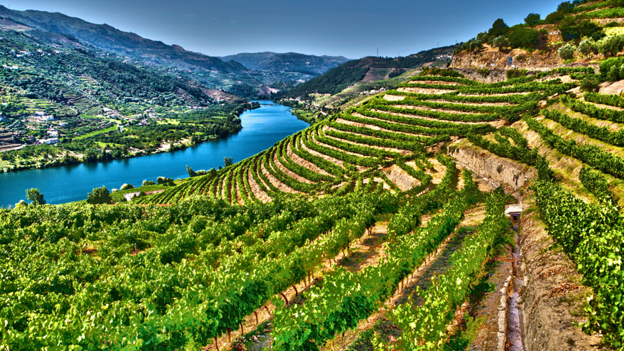 Portugal: Porto & the Douro Valley