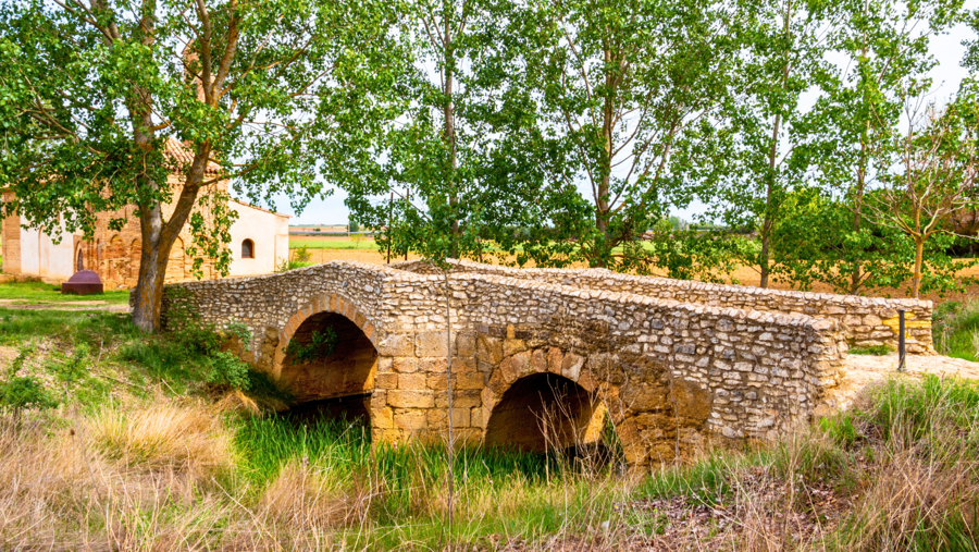 On the Camino de Santiago