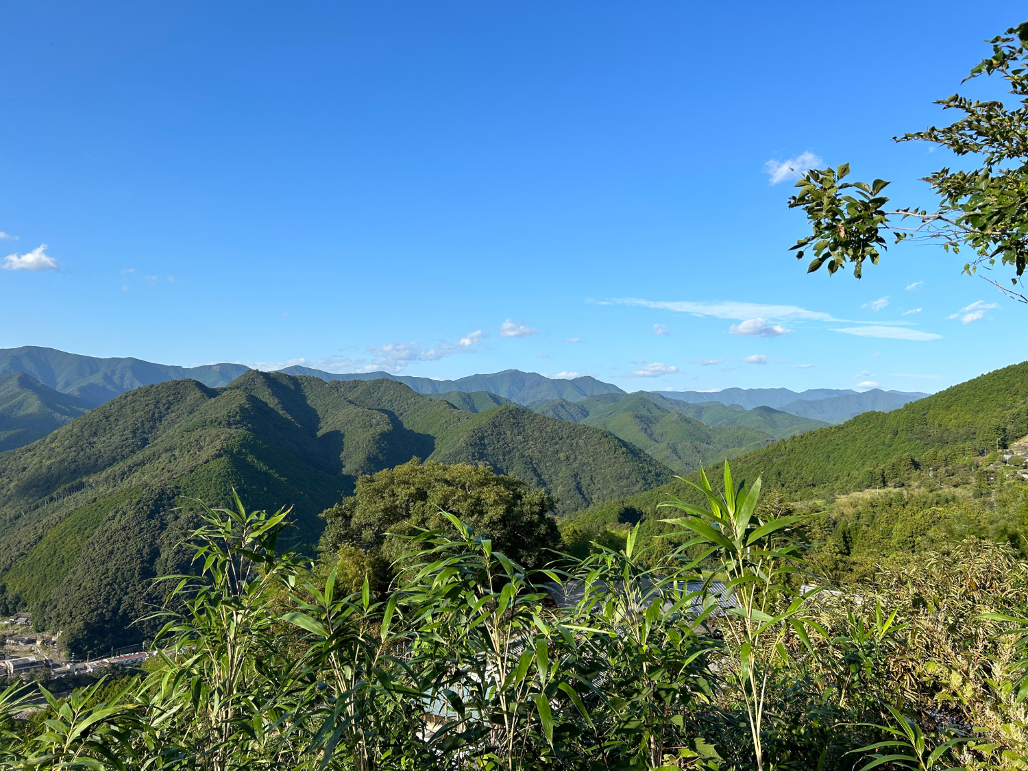 Picture of Japan's Kumano Kodo Pilgrimage Trail