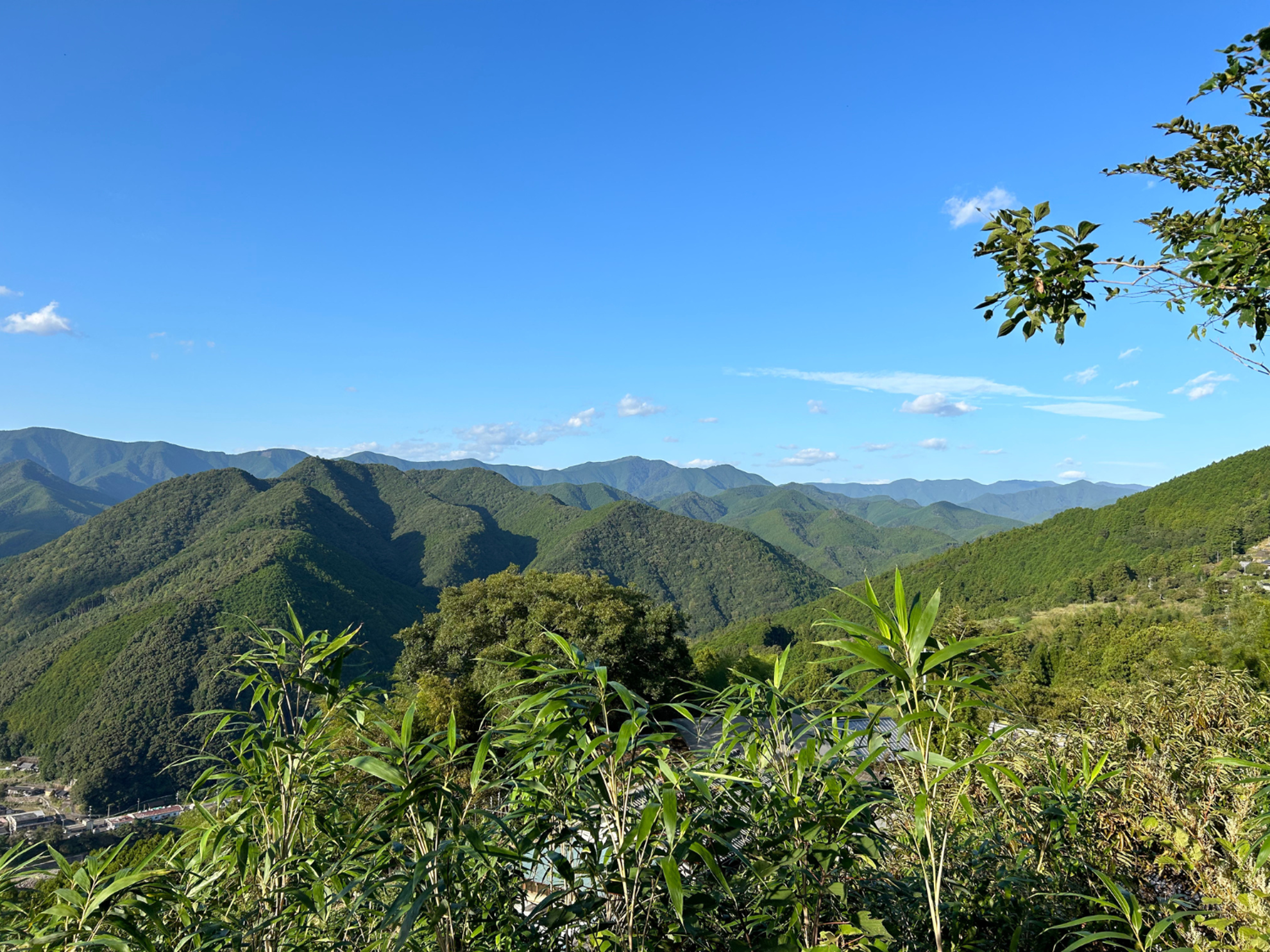 Picture of Japan's Kumano Kodo Pilgrimage Trail