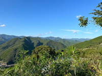 Picture of Japan's Kumano Kodo Pilgrimage Trail