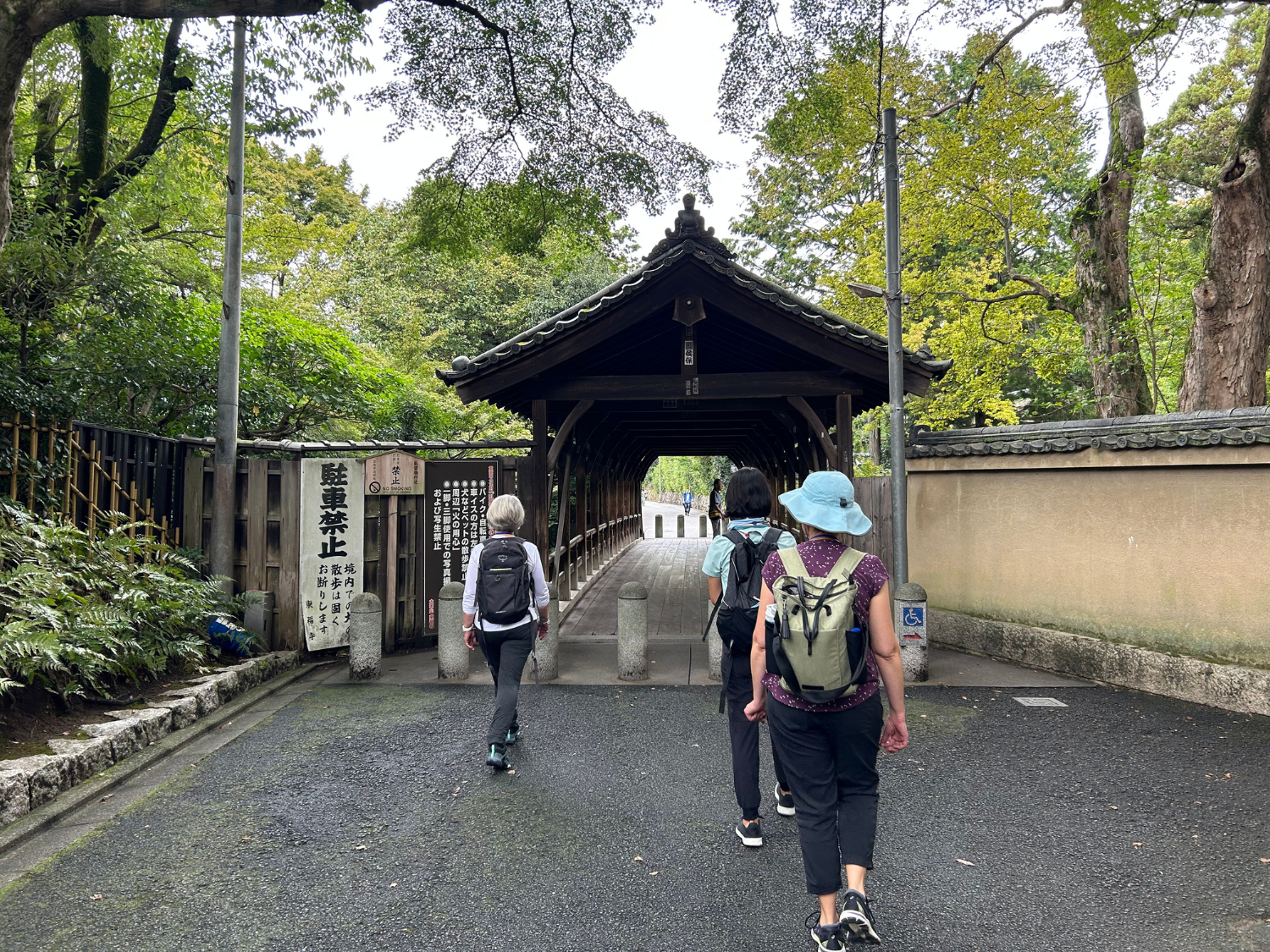 Picture of Japan's Kumano Kodo Pilgrimage Trail